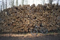 Fahrrad lehnt an Stapel Baumstämme — Stockfoto