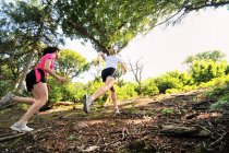 Dos jóvenes corredoras corriendo por la pista forestal - foto de stock