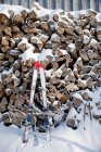 Esquis abandonados apoiados na pilha de lenha no dia nevado — Fotografia de Stock