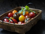 Frisch gepflückte Tomaten mit Blättern im Korb — Stockfoto