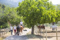Rückansicht einer Bräutigam führt Reiterin auf Koppel in ländlichen Ställen — Stockfoto