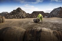 Young man rolling whisky cask at cooperage — Stock Photo