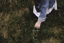 Elevata vista di giovane ragazza raccolta erba in campo — Foto stock