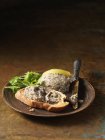 Roasted wild mushroom pate on crusty bread — Stock Photo