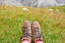 Обрезанный вид на ноги туристов в туристических книгах на траве, Австрия — стоковое фото