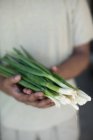 Cropped image of man holding green onions — Stock Photo