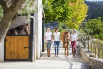 Junge Pflegerin führt Pferd in ländlichen Ställen — Stockfoto