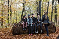 Дівчата спілкуються на стовбурі дерева в осінньому лісі — стокове фото