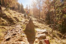 Family hiking, rear view, Schnalstal, South Tyrol, Italy — Stock Photo