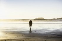 Mann spaziert am langen Strand, Pazifik-Rand-Nationalpark, Vancouver-Insel, britische Kolumbia, Kanada — Stockfoto