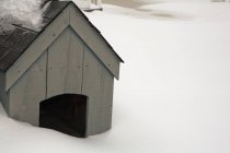 Perrera de perro en nieve - foto de stock