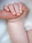Säugling hält Eltern Finger — Stockfoto
