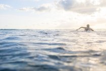 Vue arrière de la femme pagayant sur planche de surf en mer, Nosara, Province de Guanacaste, Costa Rica — Photo de stock