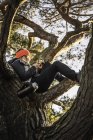 Woman relaxing and using mobile phone on treetop, Augsburg, Bavaria, Germany — Stock Photo