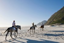 3 people riding horses on the beach — Stock Photo