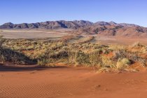 Vista panorámica del desierto de namib con montañas a la luz del sol - foto de stock