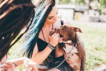 Giovani donne con i capelli tinti di blu che giocano con pit bull terrier nel parco urbano — Foto stock