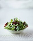 Смешанные листья салата в маленькой миске — стоковое фото
