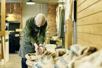 Hombre trabajador de la cafetería con sacos de granos de café - foto de stock