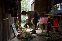 Молодий чоловік сортує свіжозібрану цибулю в садовому сараї — стокове фото