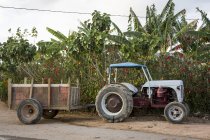 Сельскохозяйственный трактор-прицеп на обочинах дорог из виналей, Куба — стоковое фото