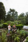 Padre e figlia giardinaggio insieme — Foto stock
