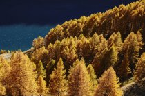 Vista panorâmica de Schnalstal, Tirol do Sul, Itália — Fotografia de Stock
