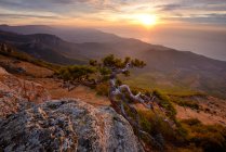 Vue panoramique sur les montagnes et l'arbre au coucher du soleil — Photo de stock