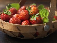Ripe organic strawberries with green leaves in basket — Stock Photo