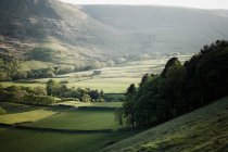 Valley in Early Summer Evening — Stock Photo