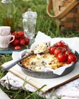 Baked ricotta with vine tomatoes on book outdoors — Stock Photo