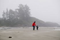 Madre e figlio a piedi sulla spiaggia nebbiosa — Foto stock