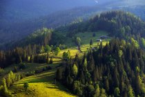 Village de Dzembronya, montagnes des Carpates, région d'Ivano-Frankovsk, Ukraine — Photo de stock