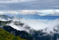 Niebla del valle, Parque natural Bolshoy Thach, Montañas Caucásicas, República de Adygea, Rusia - foto de stock