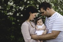 Portrait of baby girl carried between mother and father by garden apple blossom — Stock Photo