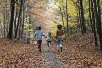 Chicas corriendo en el bosque de otoño - foto de stock