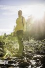 Жіночий мандрівного дивлячись від сонячної руслу в англієць річці Falls Провінційний парк острова Ванкувер, Британська Колумбія, Канада — стокове фото