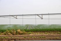 Mobile Irrigation Robot is watering field — Stock Photo