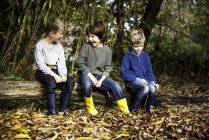 Tres niños, al aire libre, sentados en el tronco, rodeados de hojas de otoño - foto de stock