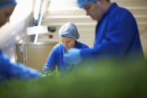 Arbeiter am Fließband tragen Haarnetze, die Gemüse verpacken — Stockfoto