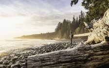Hombre mirando desde la playa en el Parque Provincial Juan de Fuca, Isla Vancouver, Columbia Británica, Canadá - foto de stock