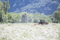 Traktor fährt in Getreidefeld — Stockfoto