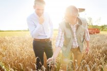 Agricultor e empresário no campo de trigo controle de qualidade trigo — Fotografia de Stock