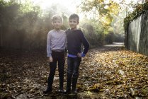 Retrato de meninos gêmeos, ao ar livre, rodeado por folhas de outono — Fotografia de Stock