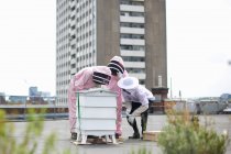 Grupo de apicultores que inspecciona a colmeia — Fotografia de Stock