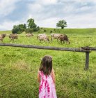 Real view of girl looking at cows pastzing in field, Fuessen, Bavaria, Germany — стоковое фото