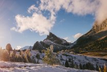 Picos cobertos de neve e abetos em luz solar com nuvens baixas — Fotografia de Stock