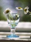 Wine glass with daisy flowers on windowsill — Stock Photo