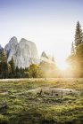 Meadow, trees and rock formations at sunset — Stock Photo
