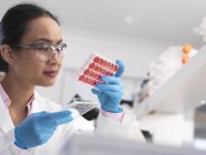 Científica examinando cultivos celulares en bandeja de múltiples pozos en el laboratorio - foto de stock